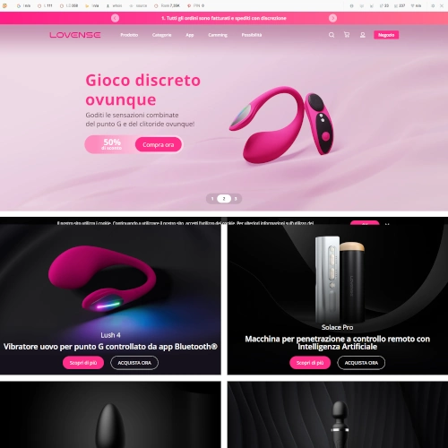 Lovense Review